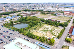 写真1 ビオトープ知多