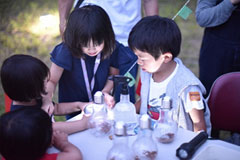 Firefly Larvae Release and Firefly Viewing Party ２