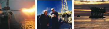 octg image