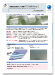 Hot-dip Coated Steel Sheet with High Corrosion Resistance,
ECOGAL-Neo