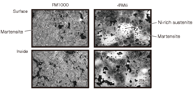 FM1000 shows homogeneous tempered martensite structure