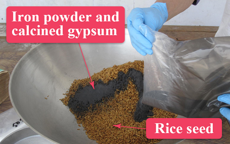 1. Add iron powder on wet seed and mixing.